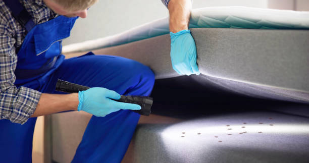 Best Commercial Pest Control Services  in River Ridge, LA