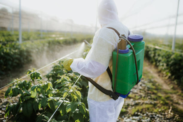Best Pest Inspection Near Me  in River Ridge, LA